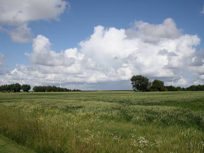 Bild 19 aus  Familie Itzenga "Hof am Turm"
