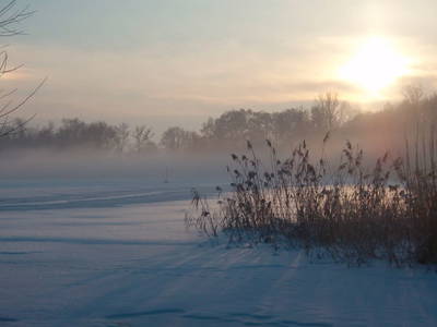 Bild 10 aus  Ferienhof Höffler/im Sternenpark Westhavelland