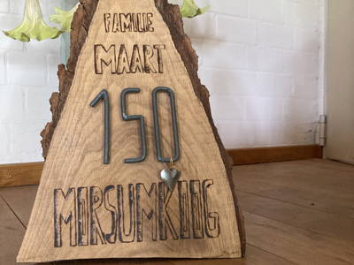 Bild 3 aus  Haus Deichgraf