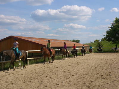 Abteilungsreiten auf braven Lehrponys
