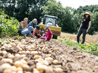 Bild 15 aus  Rittergut Schwanditz