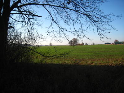 Bild 22 aus  Schloss Neuhausen