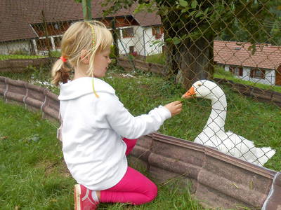 Bild 20 aus  Hanselehof