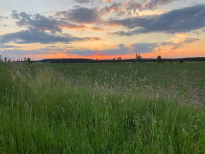 Bild 21 aus  Braunsberger Höfe