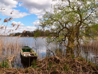Bild 17 aus  Ferienhof Höffler/im Sternenpark Westhavelland