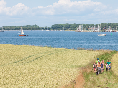 Bild 19 aus  Ferienhof Johannsen