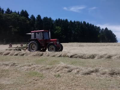 Bild 16 aus  Ferienhof Sönnecken
