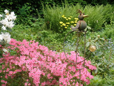 Bild 21 aus  Hof Carmshausen & Pension Hotze