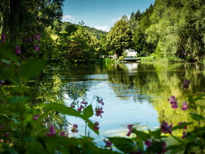 Bild 26 aus  Gut Neuwerk