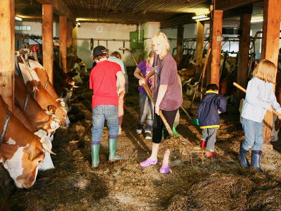 Bild 37 aus  Weidererhof