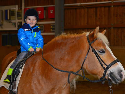 Bild 8 aus  Ferienwohnung Wenzl