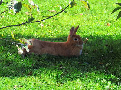 Bild 8 aus  Haus Marter   Mindestaufenthalt 6 Nächte