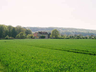 Bild 18 aus  Sandsteinhof Kückmann