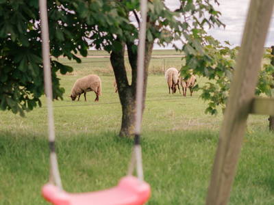 Bild 15 aus  "FEWO auf dem Lande" bei St. Peter Ording