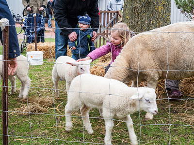 Bild 16 aus  Kastanienhof