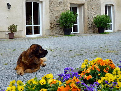 Bild 5 aus  Weichaer Hof