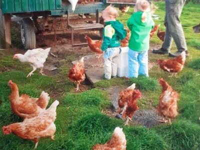 Bild 14 aus  Familie Itzenga "Hof am Turm"