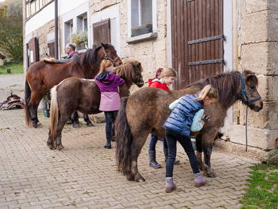 Bild 26 aus  Hof in Liebesdorf