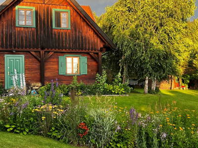 Unsere aus im Sommer