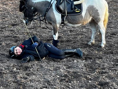 Bild 73 aus  Lindenhof