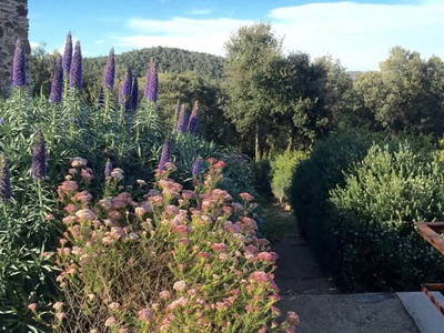 Bild 12 aus  Villa CP