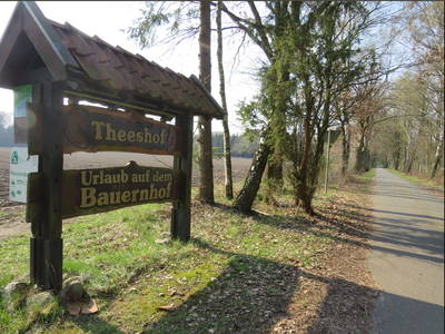 Bild 3 aus  Theeshof