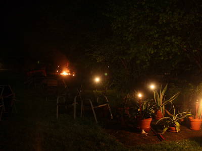 Bild 28 aus  Forsthof Niendorf