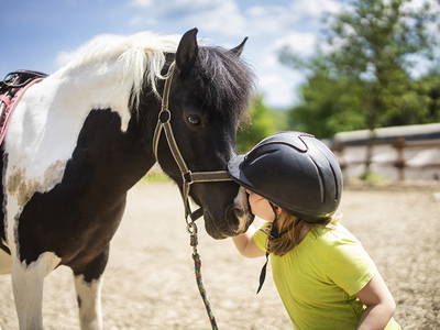 Bild 11 aus  Ferienhof Belke-Spork