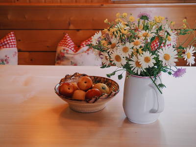 Bild 17 aus  Ferienparadies am Rennweg