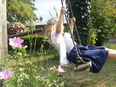 Bild 18 aus  Urlaub bei Familie Schmidt in Wippendorf