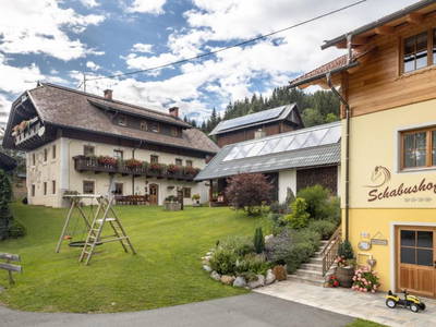 Bild 13 aus  Schabushof