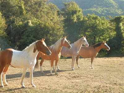 Bild 92 aus  Agriturismo Casa Bivignano