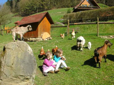 Bild 10 aus  Schillingerhof