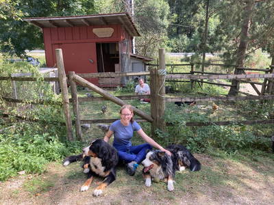 Bild 30 aus  Ferienwohnung Dachsmühle: Natur und Tiere