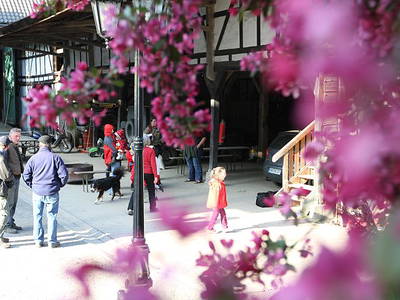 Bild 6 aus  Bauernhof Heinemann