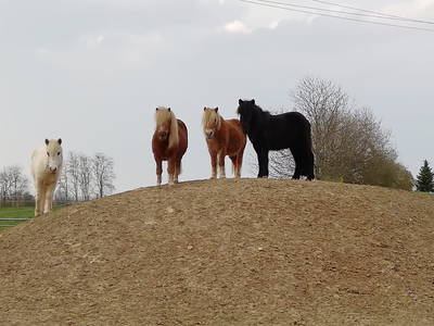 Bild 15 aus  Lautersheimer Gutshof