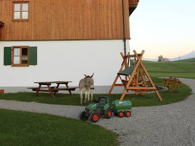 Bild 26 aus  Ferienhof Hitzelberger