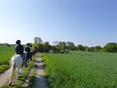 Ausritt durch die Feldmark