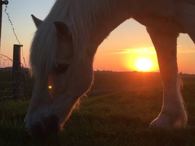 Bild 2 aus  Ferienhof Lorenzen