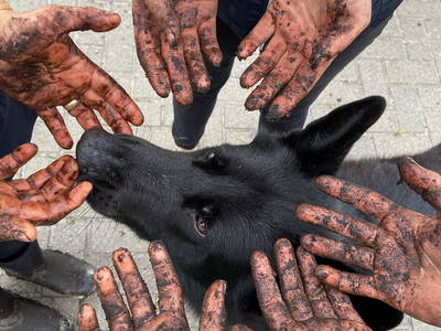 Fleißige Erntehelfer