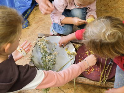 Bild 17 aus  Ferienhof Schwehr