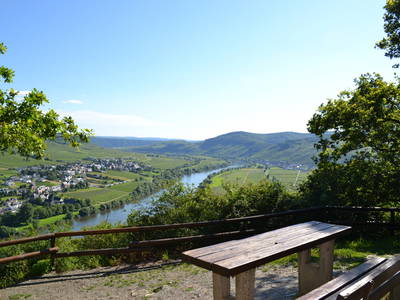 Bild 4 aus  Ferienwohnung Weingut Mathy Schanz