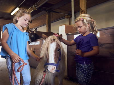 Bild 21 aus  Ponyferienhof