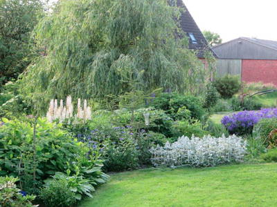 Bild 12 aus  Ferienwohnung Osteblick auf Hof Mühlenwisch