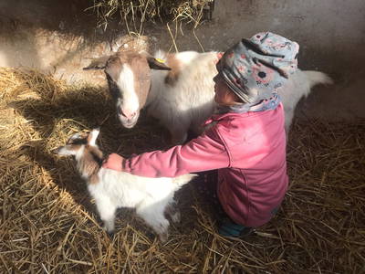 Bild 48 aus  Hof Schlünzen