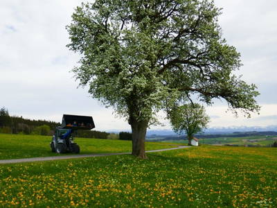 Bild 113 aus  Allgäu Bergferienhof