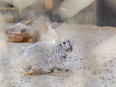 Bild 16 aus  Poenenhof