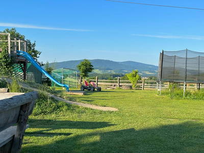 Bild 38 aus  Ponyferienhof