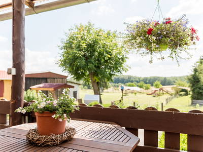 Bild 13 aus  Hof Hainholzblick