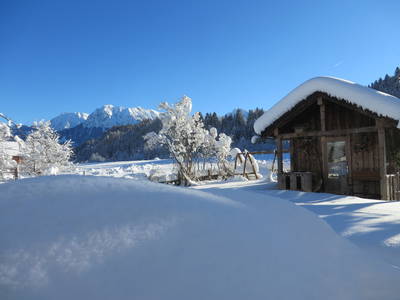 Bild 39 aus  Landhaus Alt mit  Bauernhof* Gesundes Wohnen In Freier Natur* Tolle-Angebote *Bergbahn Unlimited*